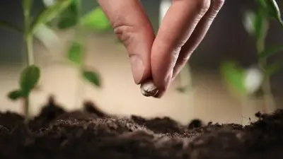 Manos plantando una pequeña planta, símbolo de crecimiento y legado familiar mediante fundaciones.