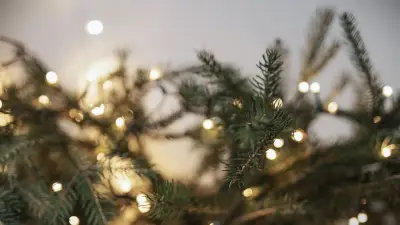 Ramas de árbol de Navidad iluminadas, asociadas a una reflexión sobre familia y legado.